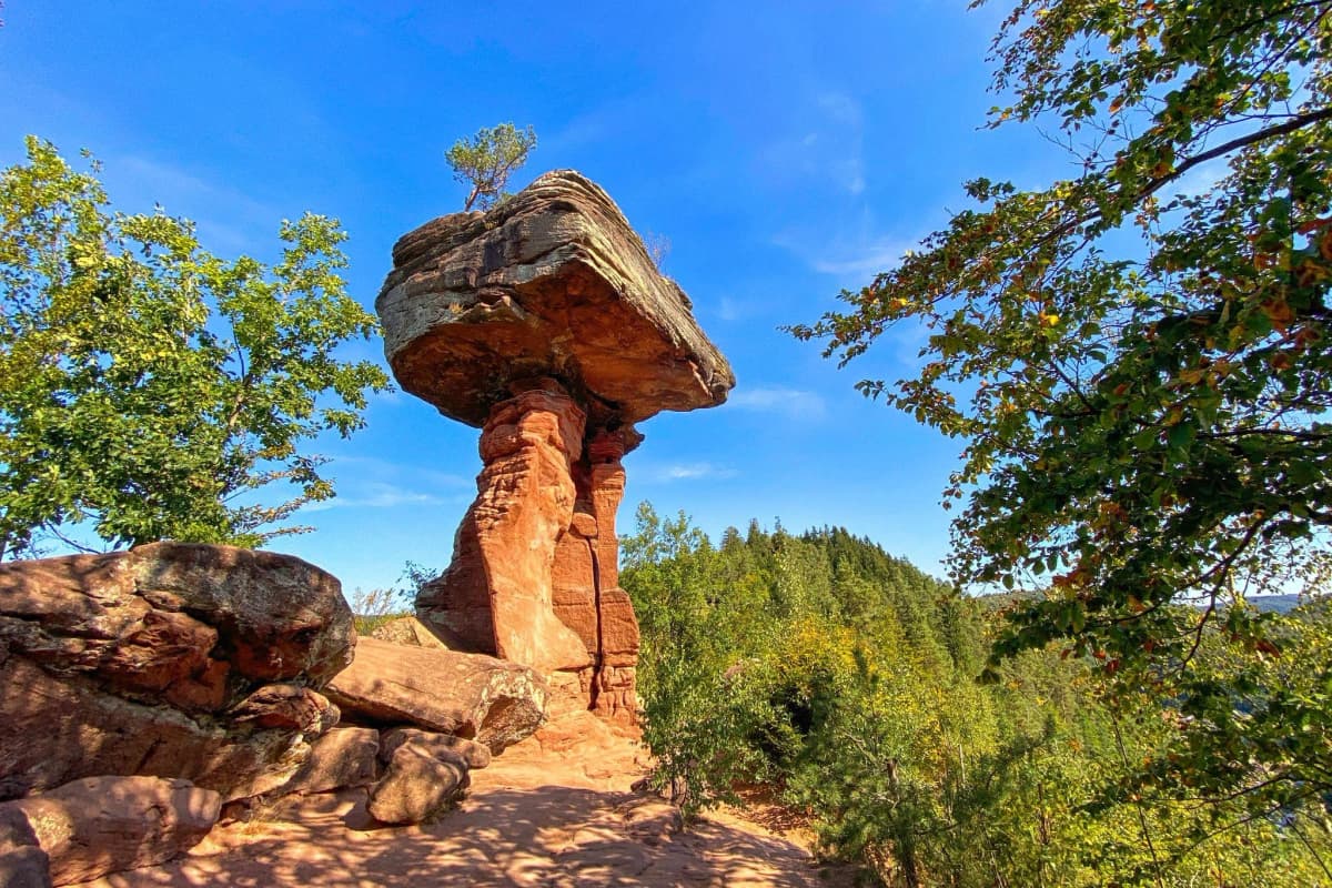 Cure de jeûne en Allemagne : entre tradition et nature