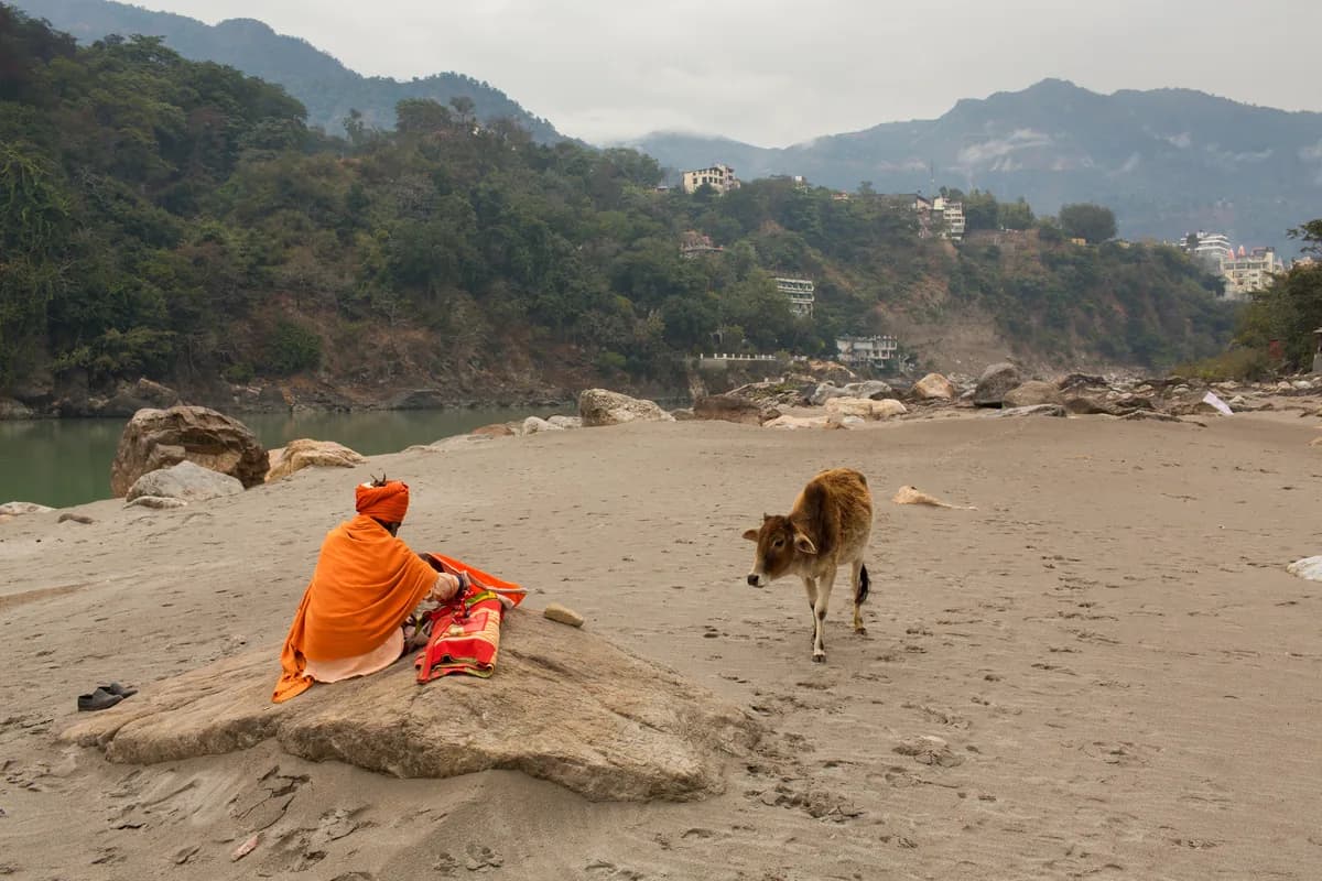 Ashram en Inde : ce que c'est, ce que ça coûte, comment y séjourner