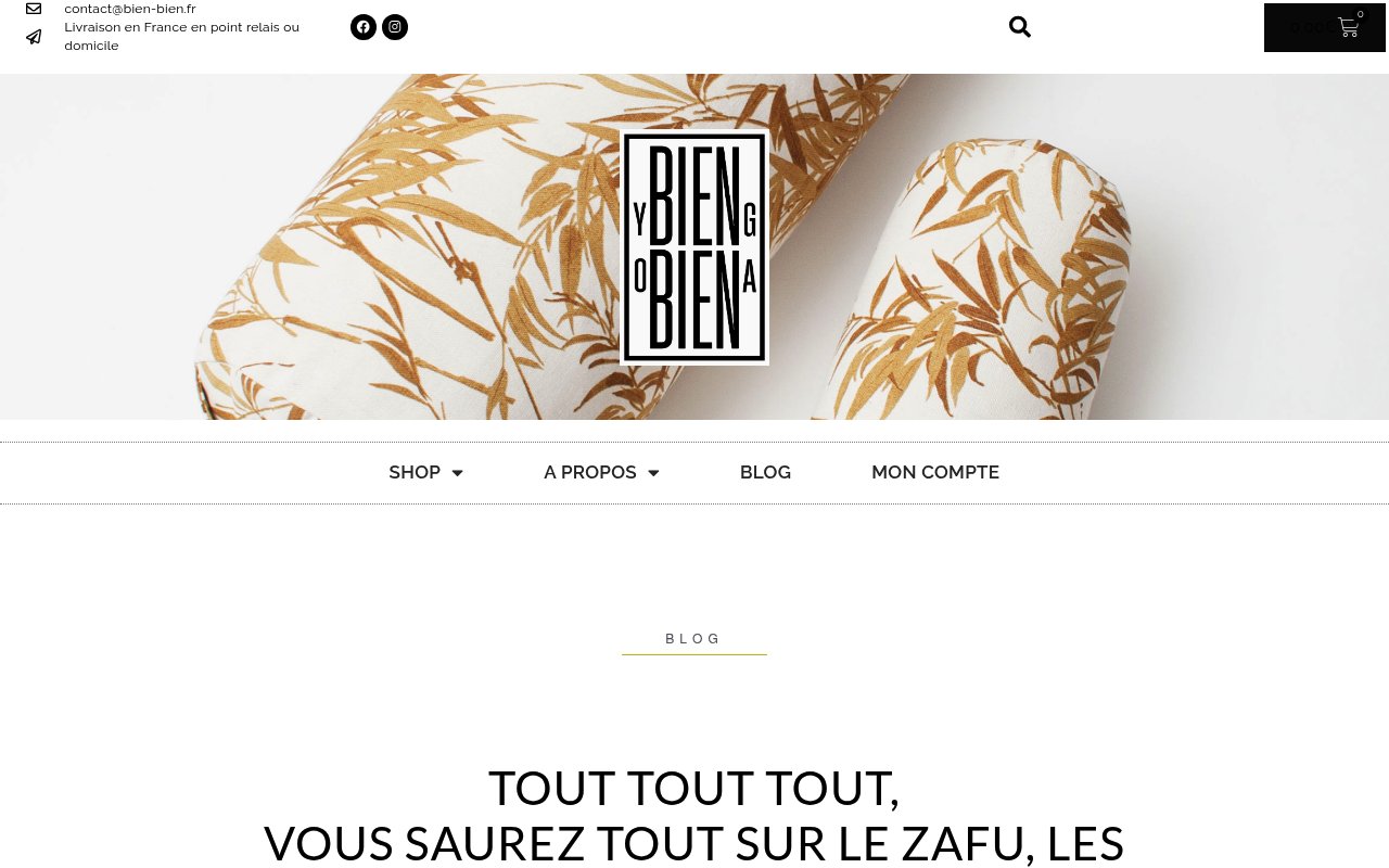 Aperçu du guide Bien Bien