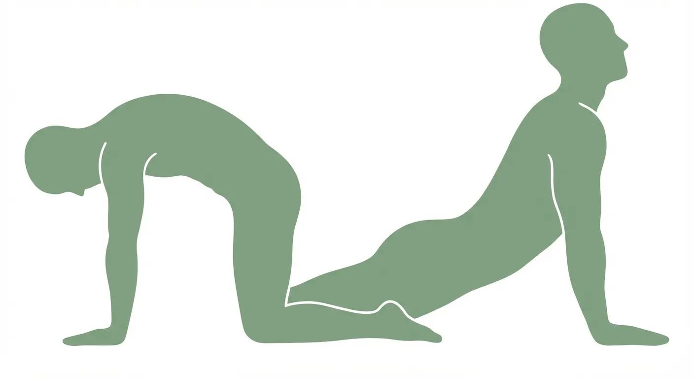 Posture du chat-vache